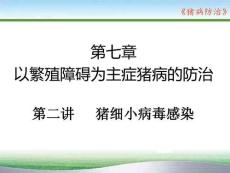豬病防治：豬細小病毒PPT教學課件
