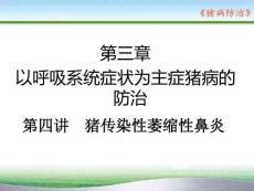 猪病防治：猪传染性萎缩性鼻炎PPT教学课件