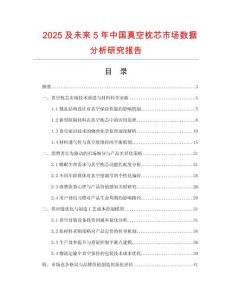 2025及未來5年中國真空枕芯市場數據分析研究報告