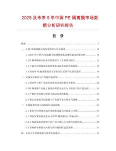 2025及未來5年中國PE隔離膜市場數(shù)據(jù)分析研究報告
