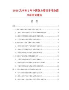2025及未來5年中國彈力摩絲市場數據分析研究報告