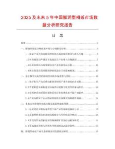2025及未來(lái)5年中國(guó)膨潤(rùn)型相紙市場(chǎng)數(shù)據(jù)分析研究報(bào)告
