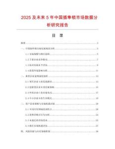 2025及未來(lái)5年中國(guó)插隼鎖市場(chǎng)數(shù)據(jù)分析研究報(bào)告