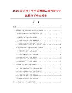 2025及未來5年中國聚酯無端網(wǎng)帶市場數(shù)據(jù)分析研究報(bào)告