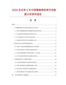 2025及未來(lái)5年中國(guó)精拋銅掛鎖市場(chǎng)數(shù)據(jù)分析研究報(bào)告