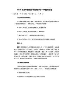 2025年高中物理下學期期中新一季暫時試卷