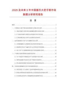 2025及未來(lái)5年中國(guó)插芯大把手鎖市場(chǎng)數(shù)據(jù)分析研究報(bào)告