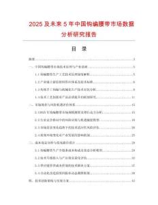 2025及未來5年中國鉤編腰帶市場數(shù)據(jù)分析研究報告