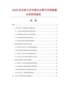 2025及未來5年中國馬頭琴弓市場數(shù)據(jù)分析研究報告