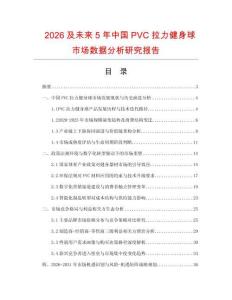 2026及未來5年中國PVC拉力健身球市場數據分析研究報告