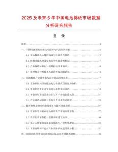 2025及未來5年中國電池棉紙市場數(shù)據(jù)分析研究報告