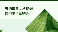 節約糧食，從我做起中學主題班會