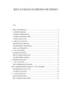 攝影行業(yè)市場深度分析及攝影器材與數(shù)字?jǐn)z影報告