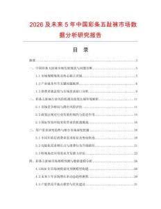2026及未來5年中國彩條五趾襪市場數據分析研究報告