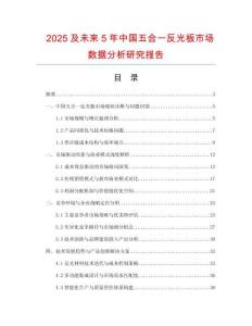 2025及未來5年中國五合一反光板市場數據分析研究報告