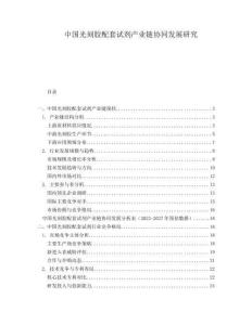 中國光刻膠配套試劑產業鏈協同發展研究