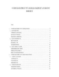 中國排水防澇數字孿生系統技術成熟度與市場培育策略報告