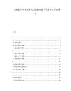 洪都拉斯蒂瓦納卡倫電信行業(yè)技術(shù)升級(jí)策略研究報(bào)告