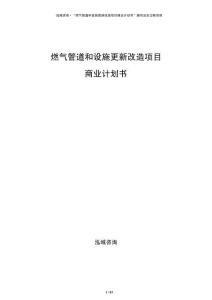 燃?xì)夤艿篮驮O(shè)施更新改造項(xiàng)目商業(yè)計(jì)劃書(shū)