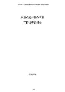 頭層皮超纖基布項(xiàng)目可行性研究報(bào)告