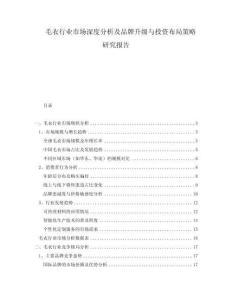 毛衣行業(yè)市場(chǎng)深度分析及品牌升級(jí)與投資布局策略研究報(bào)告