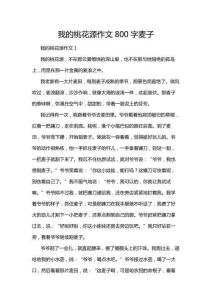 我的桃花源作文800字麥子