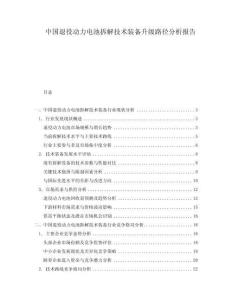 中國退役動力電池拆解技術(shù)裝備升級路徑分析報(bào)告