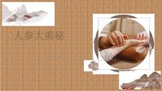 人參大揭秘