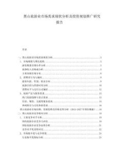 黑山旅游業(yè)市場需求現(xiàn)狀分析及投資規(guī)劃推廣研究報告