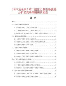 2025及未來5年中國壓邊條市場數據分析及競爭策略研究報告
