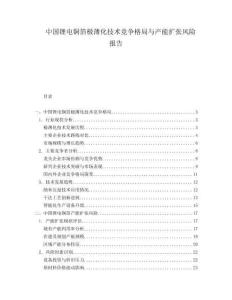 中國鋰電銅箔極薄化技術(shù)競爭格局與產(chǎn)能擴(kuò)張風(fēng)險報告