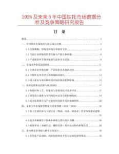 2026及未來5年中國鐵托市場數(shù)據(jù)分析及競爭策略研究報(bào)告
