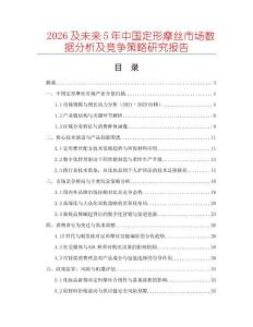 2026及未來5年中國定形摩絲市場數據分析及競爭策略研究報告