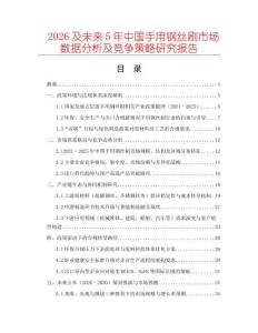2026及未來5年中國手用鋼絲刷市場(chǎng)數(shù)據(jù)分析及競(jìng)爭(zhēng)策略研究報(bào)告