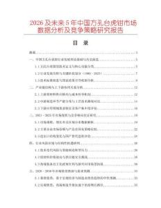 2026及未來5年中國方孔臺虎鉗市場數(shù)據(jù)分析及競爭策略研究報告