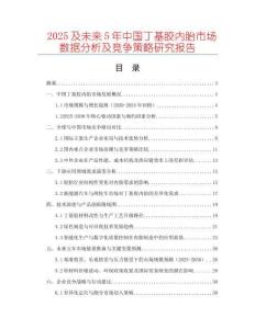 2025及未來5年中國丁基膠內胎市場數據分析及競爭策略研究報告