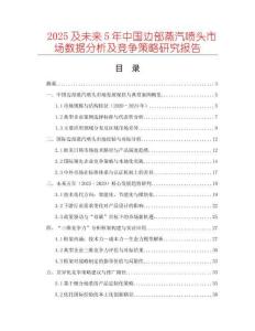 2025及未來5年中國邊部蒸汽噴頭市場數(shù)據(jù)分析及競爭策略研究報告