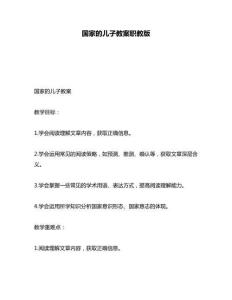 國家的兒子教案職教版
