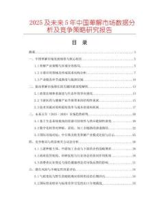 2025及未來(lái)5年中國(guó)萆解市場(chǎng)數(shù)據(jù)分析及競(jìng)爭(zhēng)策略研究報(bào)告