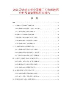 2025及未來(lái)5年中國(guó)槽口刀市場(chǎng)數(shù)據(jù)分析及競(jìng)爭(zhēng)策略研究報(bào)告