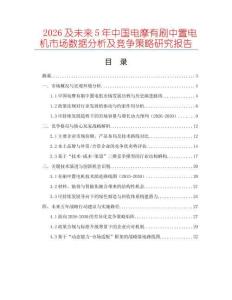 2026及未來5年中國電摩有刷中置電機(jī)市場數(shù)據(jù)分析及競爭策略研究報(bào)告