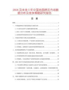 2026及未來5年中國地面噴花市場數(shù)據(jù)分析及競爭策略研究報告
