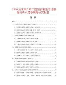 2026及未來5年中國加長割炬市場數(shù)據(jù)分析及競爭策略研究報(bào)告