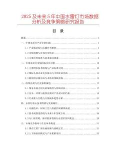 2025及未來5年中國水雷燈市場數(shù)據(jù)分析及競爭策略研究報告