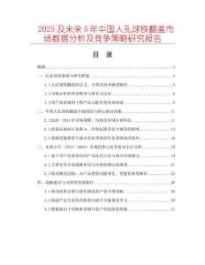 2025及未來5年中國人孔球鐵翻蓋市場數(shù)據(jù)分析及競爭策略研究報告