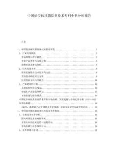 中國徒步襪抗菌除臭技術專利全景分析報告