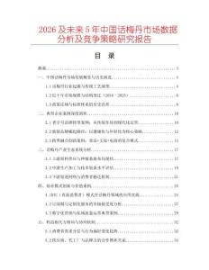 2026及未來5年中國話梅丹市場數(shù)據(jù)分析及競爭策略研究報告