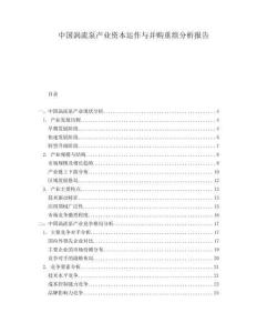 中國渦流泵產(chǎn)業(yè)資本運作與并購重組分析報告