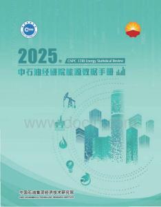 中石油經(jīng)研院能源數(shù)據(jù)手冊(cè)