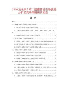 2026及未來5年中國擦麥機市場數據分析及競爭策略研究報告